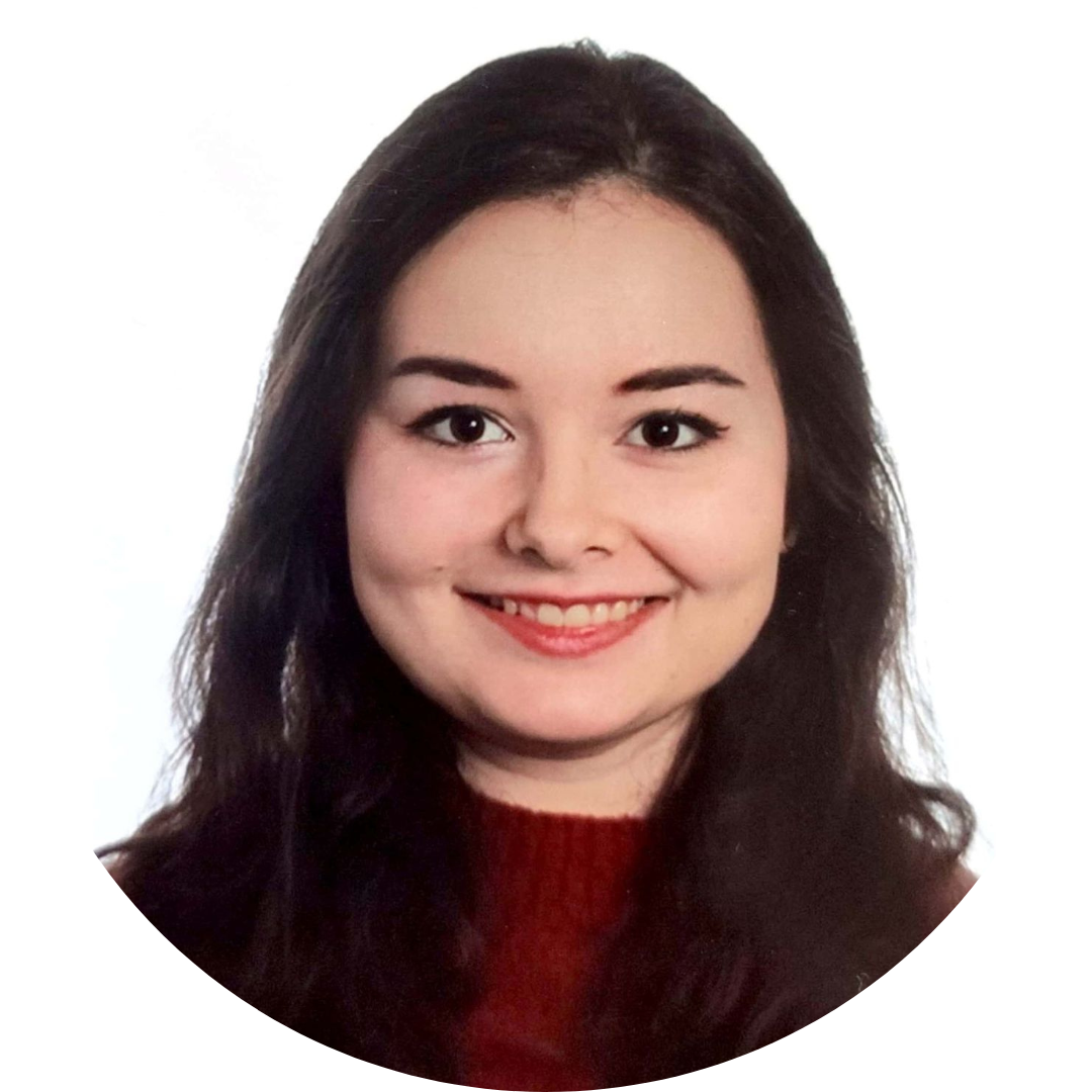 Isabela nardi da silva s cv